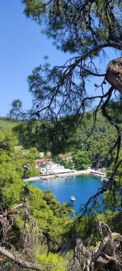 Skopelos Country House Diamantis & Chrisi Agnontas Dış mekan fotoğraf